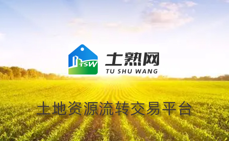 愛品特助力土熟網網絡營銷推廣，共繪鄉村振興新篇章